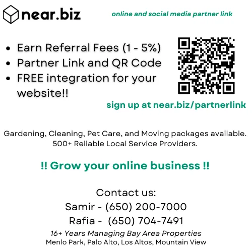 Near.Biz Social Online Reseller Flyer 2 png