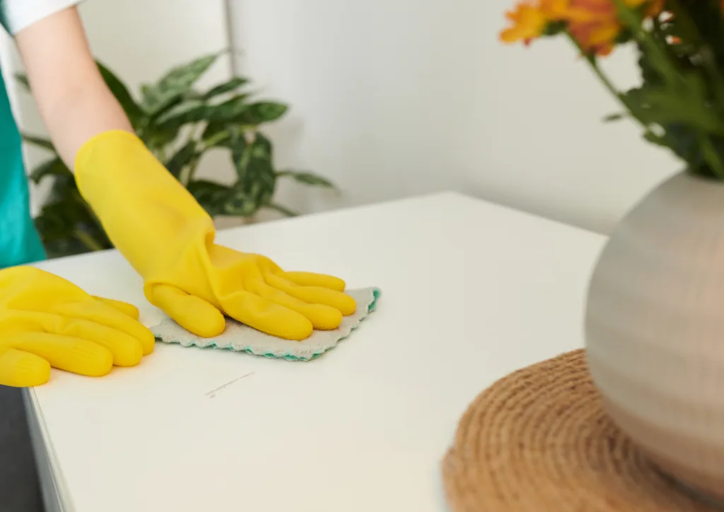 cleaning tips 1