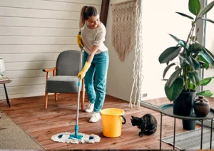 deep cleaning 5 300x212 png