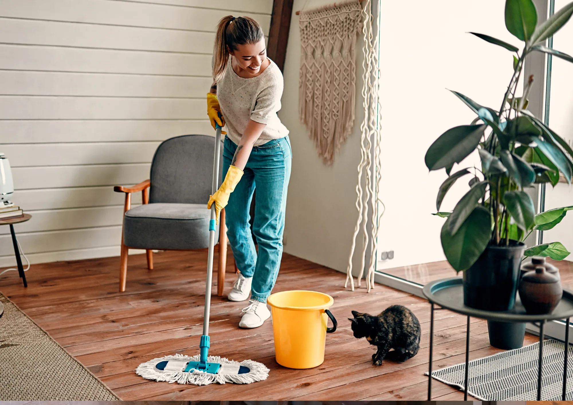 deep cleaning 5 png