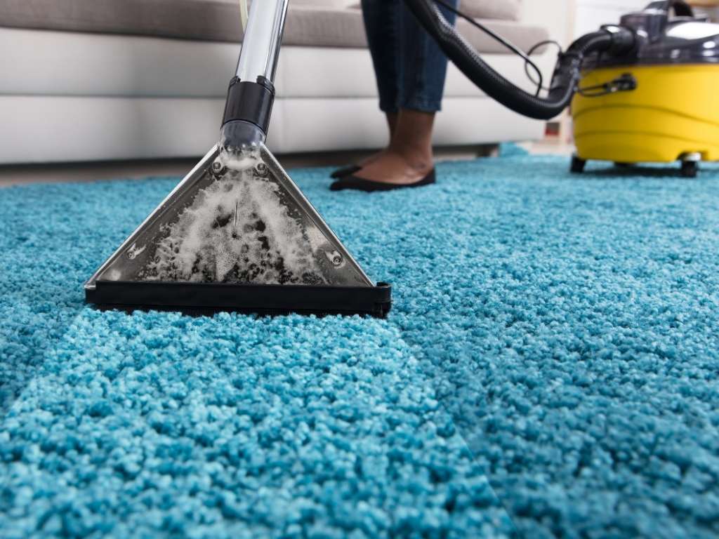 carpet cleaning