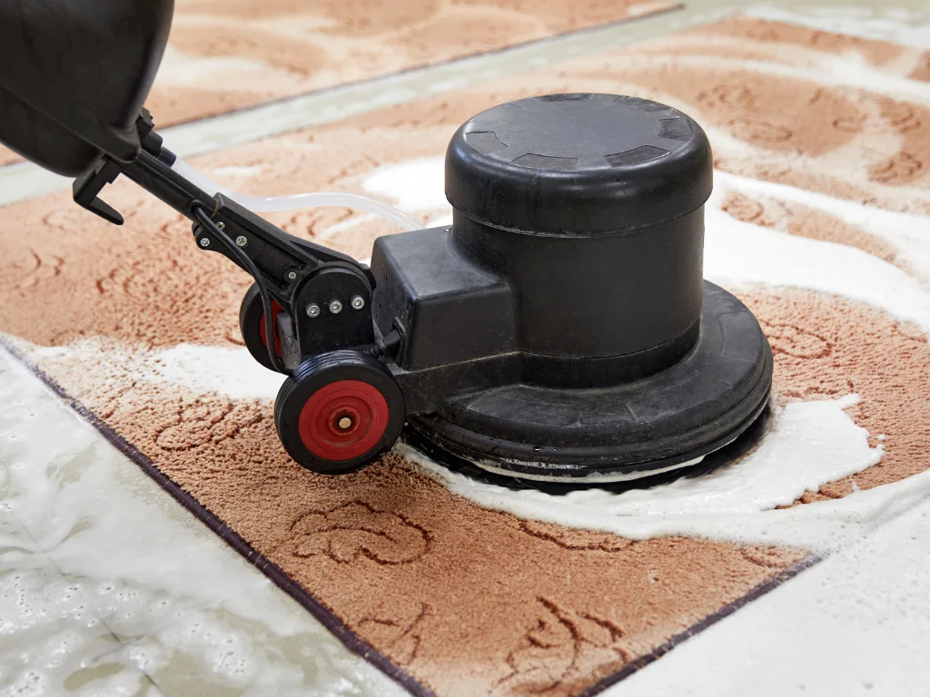 How to Clean an Area Rug and Carpet