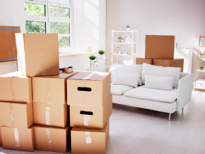Why Move-Out Cleaning Services Are Essential for Renters