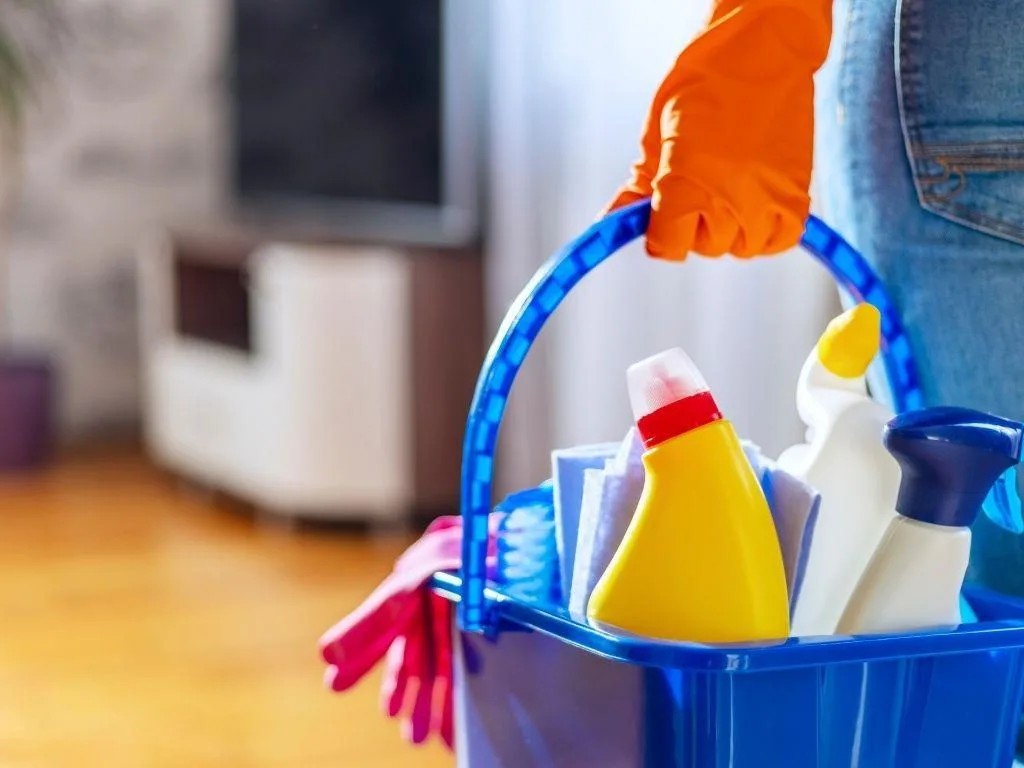 Near.biz Home Cleaning Services