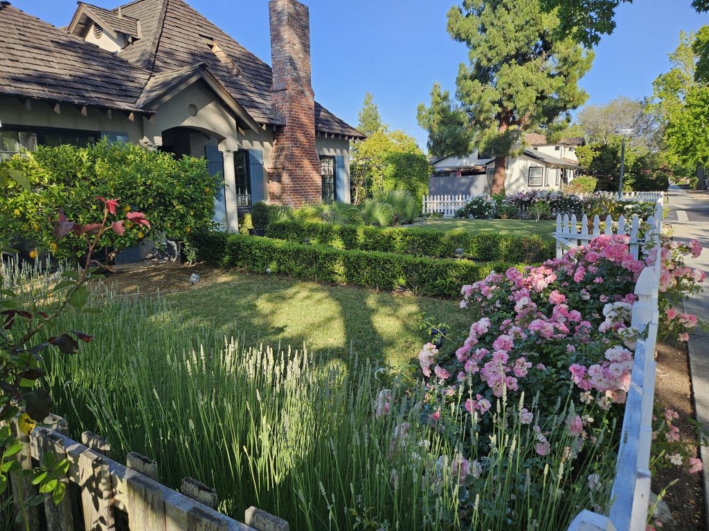 Gardening Maintenance Services