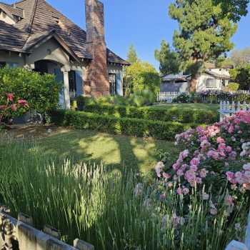 Gardening Maintenance Services
